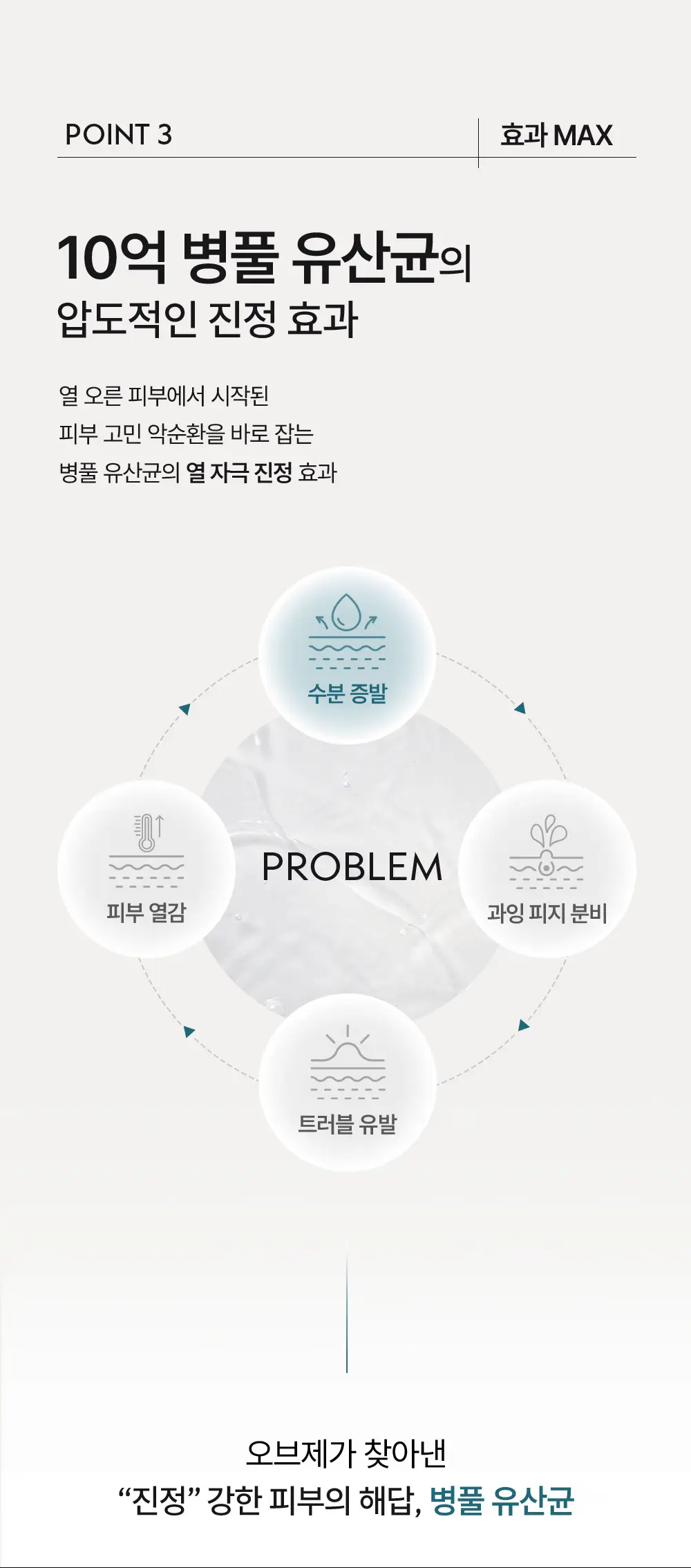 [진정 미스트] 오브제 맥스 스킨 미스트 250ml 상세페이지 24